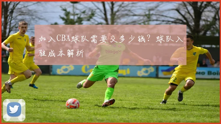加入CBA球队需要交多少钱？球队入驻成本解析
