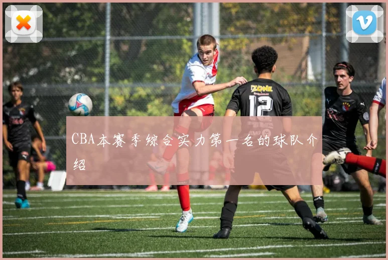 CBA本赛季综合实力第一名的球队介绍